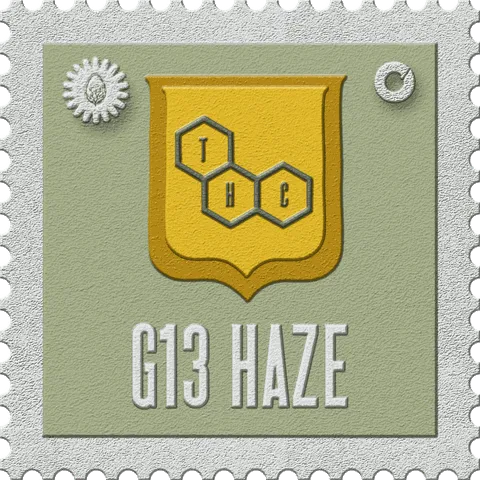 G13 Haze stamp, No. 13 in the Official Cannabis collection: a yellow shield with a molecule on sage green