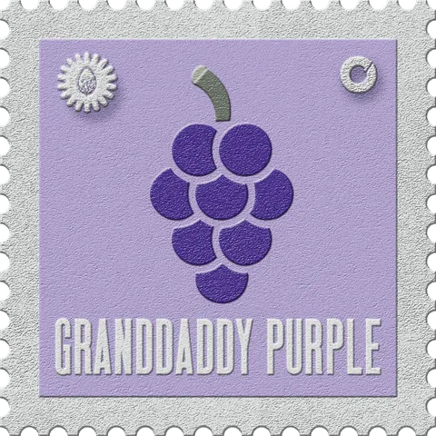 Granddaddy Purple stamp, No. 17 in the Official Cannabis collection: an indigo grape bunch on pink