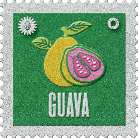 Guava stamp, No. 31 in the Official Cannabis collection: a cut guava with pink flesh on green