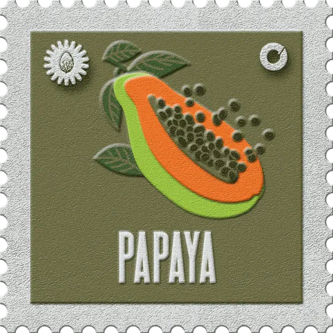 Papaya stamp, No. 26 in the Official Cannabis collection: a halved papaya with black seeds on olive