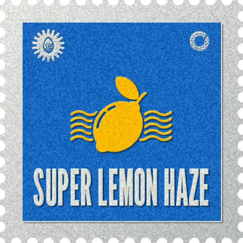 Super Lemon Haze stamp, No. 74 in the Official Cannabis collection: a lemon in wavy haze on blue